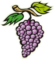 GRAPES5.CMX
