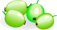 GOOSBERR.CMX