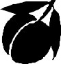 FRUIT207.CMX