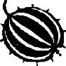 FRUIT204.CMX