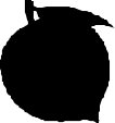 FRUIT203.CMX