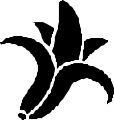 FRUIT159.CMX