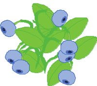 FRUIT147.CMX