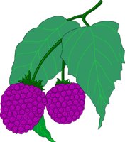 FRUIT142.CMX