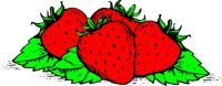 FRUIT126.CMX