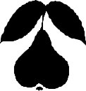 FRUIT064.CMX