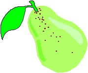 FRUIT057.CMX