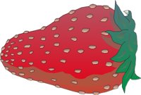 FRUIT043.CMX