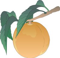 FRUIT032.CMX