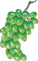 FRUIT023.CMX
