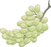 FRUIT021.CMX