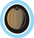COCONUT.CMX