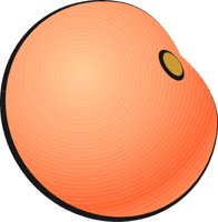 BIT0397.CMX