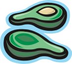 AVOCAD2.CMX