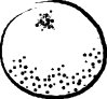 1822.CMX