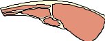 MEAT009.CMX