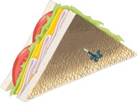 SANDWICH.CMX