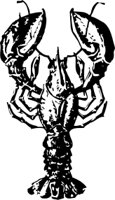 OBFD0473.CMX