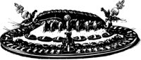 OBFD0444.CMX