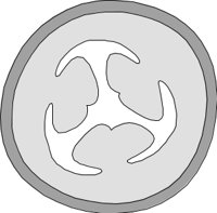 GARNSH4.CMX