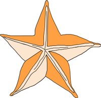 GARNSH2.CMX