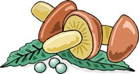 FOOD034.CMX