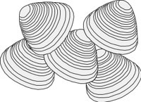 CLAMS.CMX