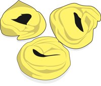 TORTELLI.CMX