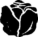 VEGTB086.CMX