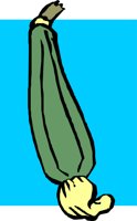 VEGTB042.CMX