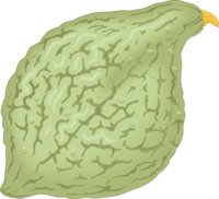 SQUASHT.CMX