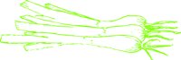 REGC0052.CMX