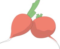 RADISH.CMX