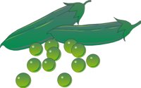 PEAS4.CMX