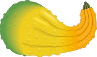 OSQUASH.CMX