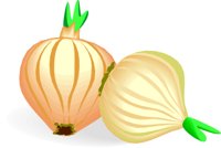 ONION1D.CMX
