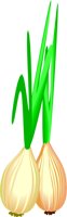 ONION1.CMX
