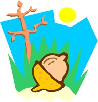 NWAGG096.CMX
