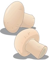 MUSHROOM.CMX