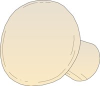 MUSH0003.CMX