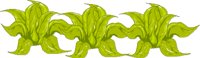 LETTUCES.CMX