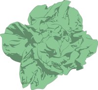 LETTUCE.CMX