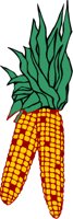 INDIANCO.CMX