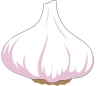 GARLIC.CMX