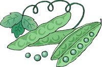FOOD182.CMX