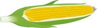 CORNCOB.CMX