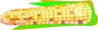 CORN2D.CMX