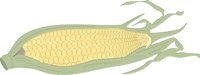 CORN2.CMX