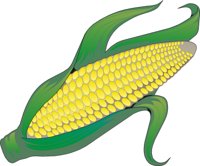 CORN0001.CMX