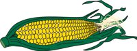CORN.CMX